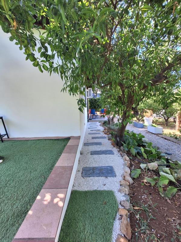 Duplex House - image 11