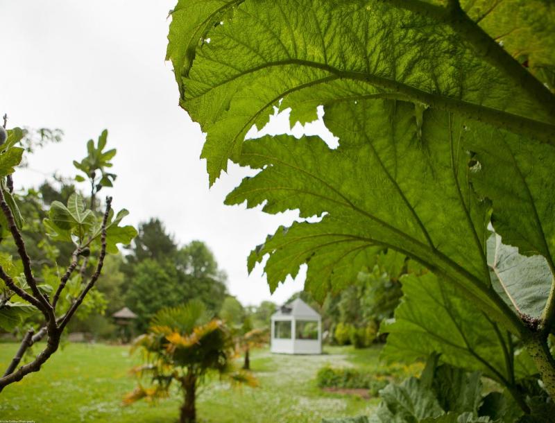 Rose in Vale Country House Hotel - image 48