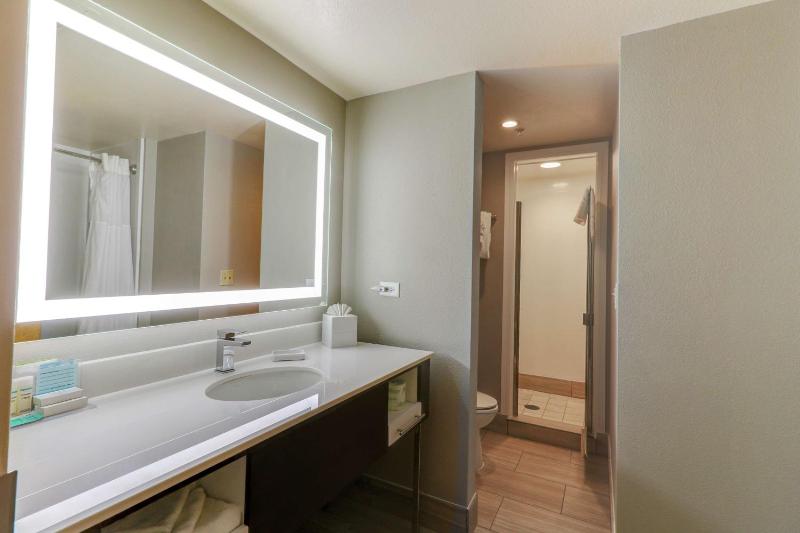 One-Bedroom King Suite - Non-Smoking image 3