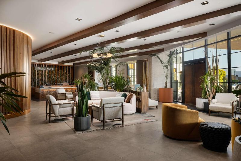 Senna House Scottsdale Curio Collection by Hilton - image 15