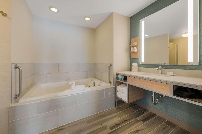 One-Bedroom King Suite with Sofa Bed image 2