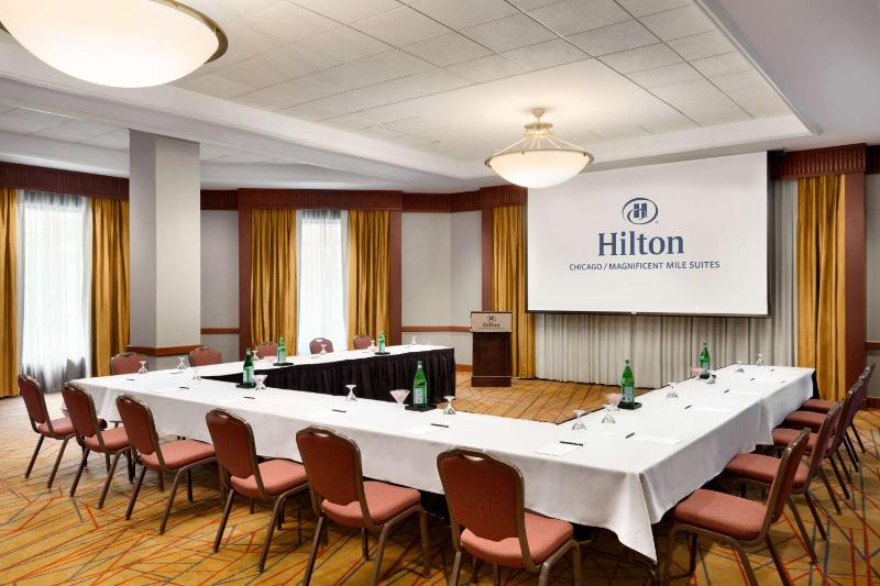 Hilton Chicago/Magnificent Mile Suites - image 3