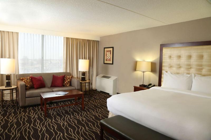 Deluxe King Room image 4