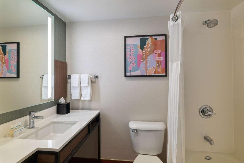 Premium King Room image 3