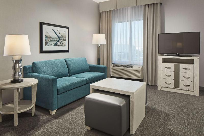King Studio Suite image 4