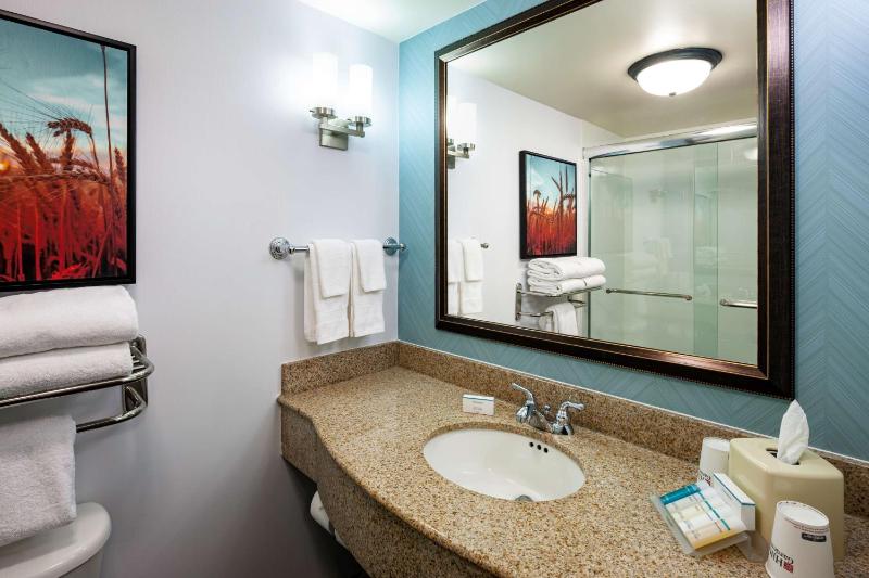 One-Bedroom King Suite image 2