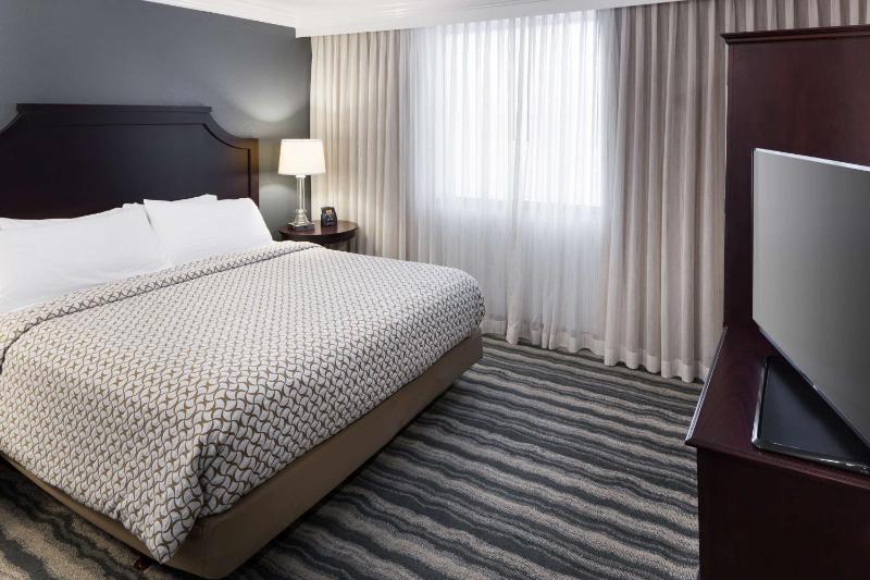 Embassy Suites By Hilton Tampa - Brandon - image 24