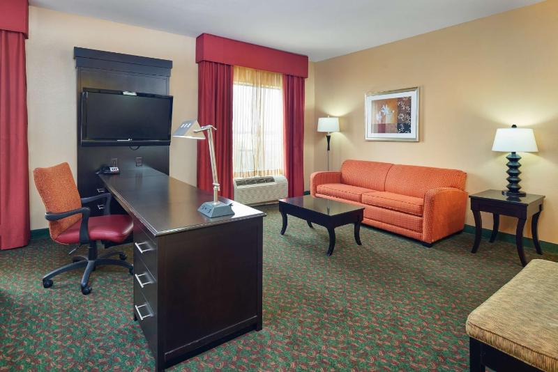 King Studio Suite with Sofa Bed - Non-Smoking image 4