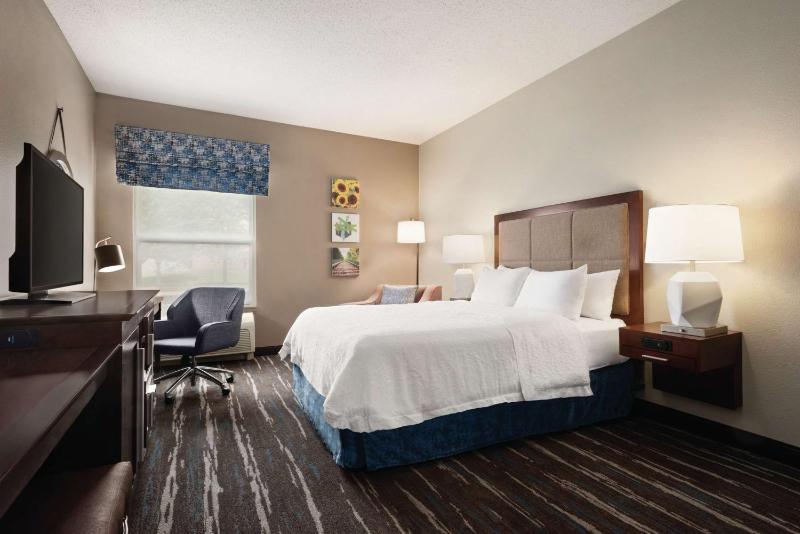 King Room with King Bed - Non-Smoking image 2