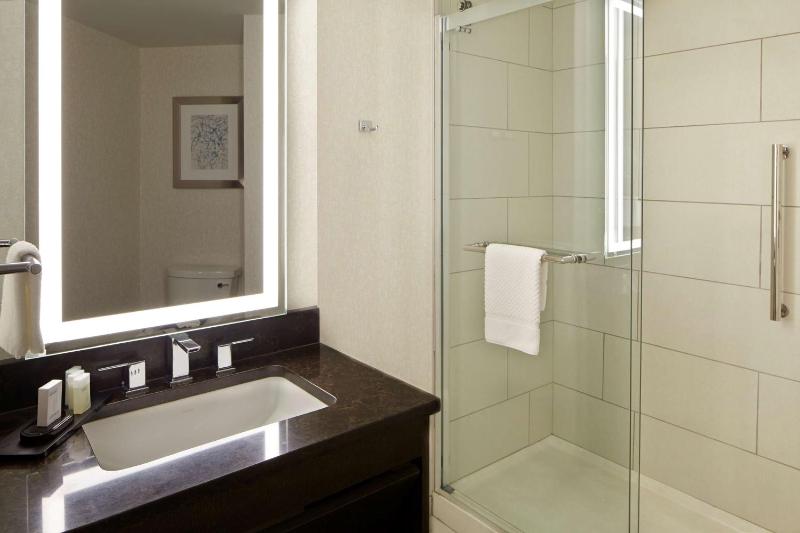 Embassy Suites By Hilton Hotel Atlanta-Galleria - image 33
