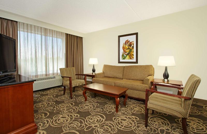 Junior King Suite with Sofa Bed - Non-Smoking image 4