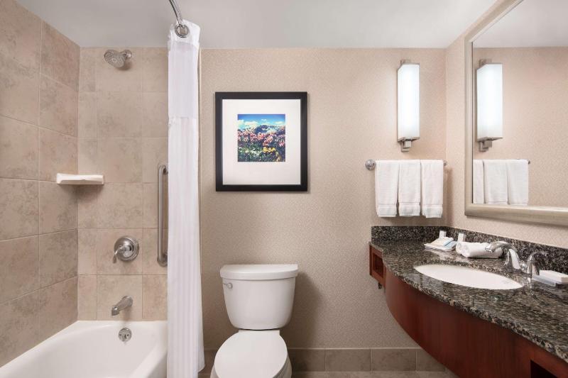 Junior King Suite with Seating Area image 2