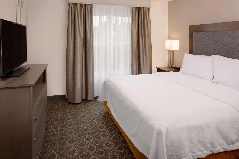 One-Bedroom King Suite image 1