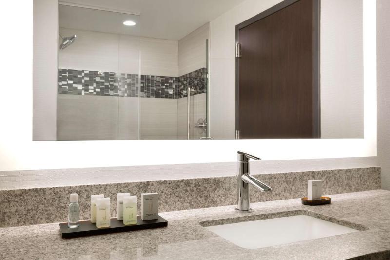 King Studio Suite image 2