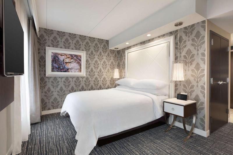 King Studio Suite image 3