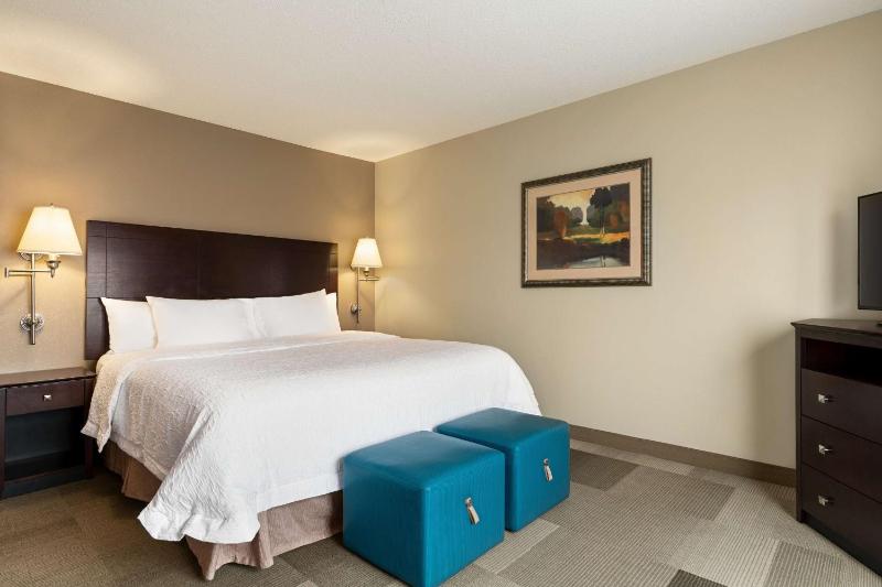 King Room with King Bed - Non-Smoking image 3