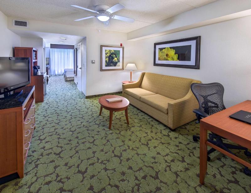 One-Bedroom King Suite image 3