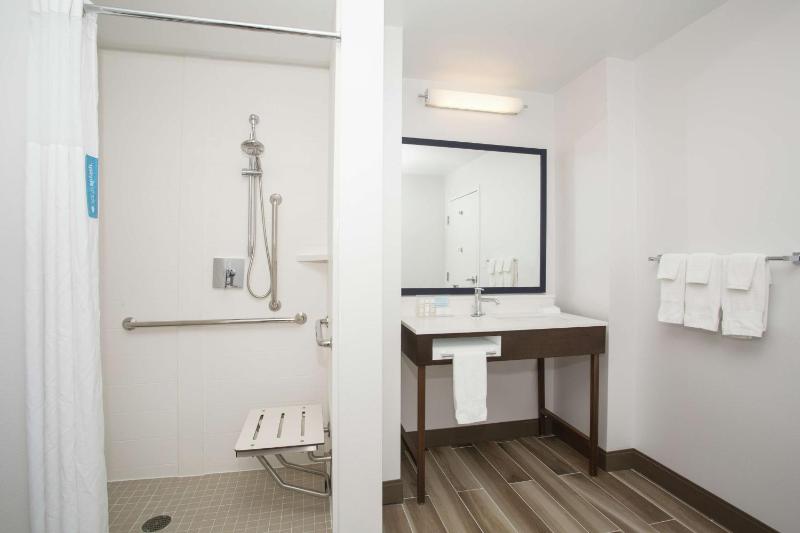 Hampton Inn & Suites Denver-Downtown - image 39
