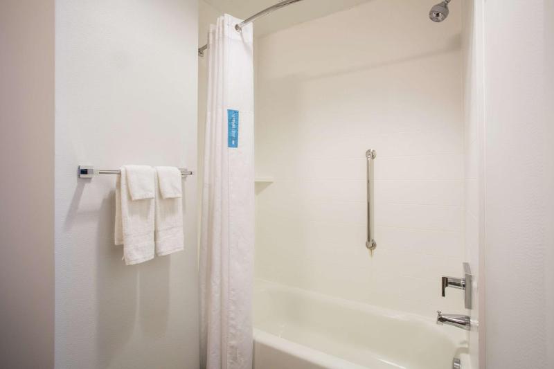 Hampton Inn & Suites Denver-Downtown - image 10