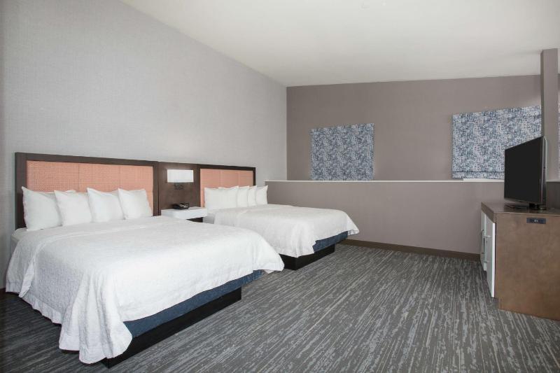 Hampton Inn & Suites Denver-Downtown - image 24