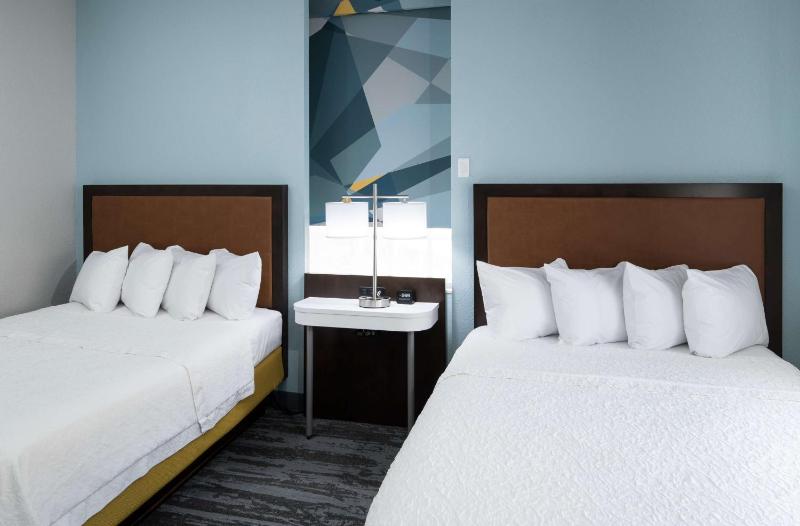 Hampton Inn & Suites Atlanta-Downtown - image 5