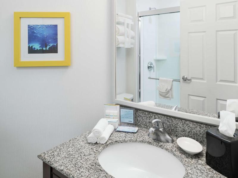 Hampton Inn & Suites Atlanta-Downtown - image 7