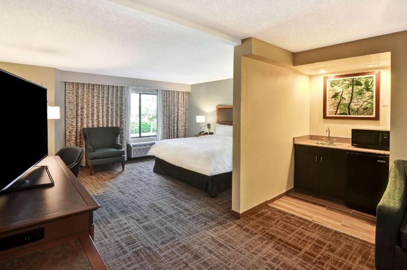 One-Bedroom King Suite with Sofa Bed - Non-Smoking image 4