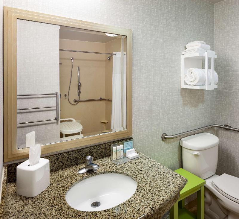 King Studio with Roll-In Shower - Mobility and Hearing Access/Non-Smoking image 2