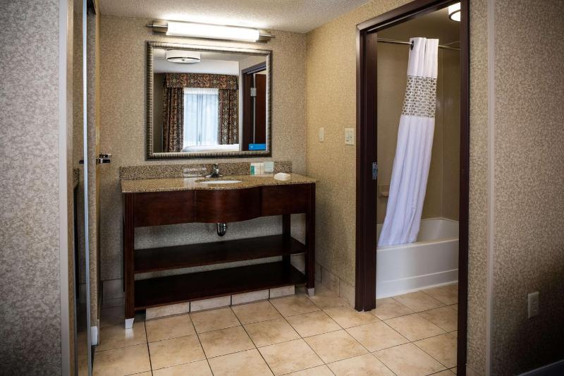 King Studio Suite with Sofa Bed - Non-Smoking image 2