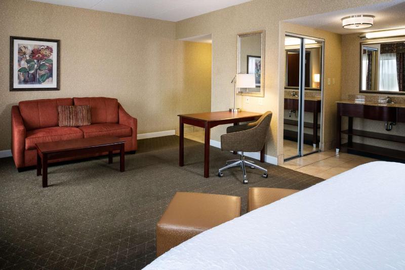 King Studio Suite with Sofa Bed - Non-Smoking image 3