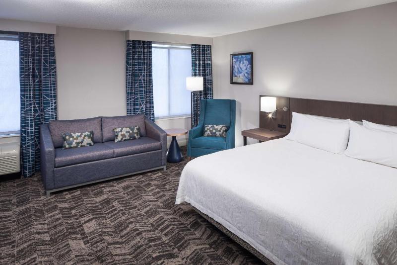 King Room with Roll-In Shower - Mobility Access image 3