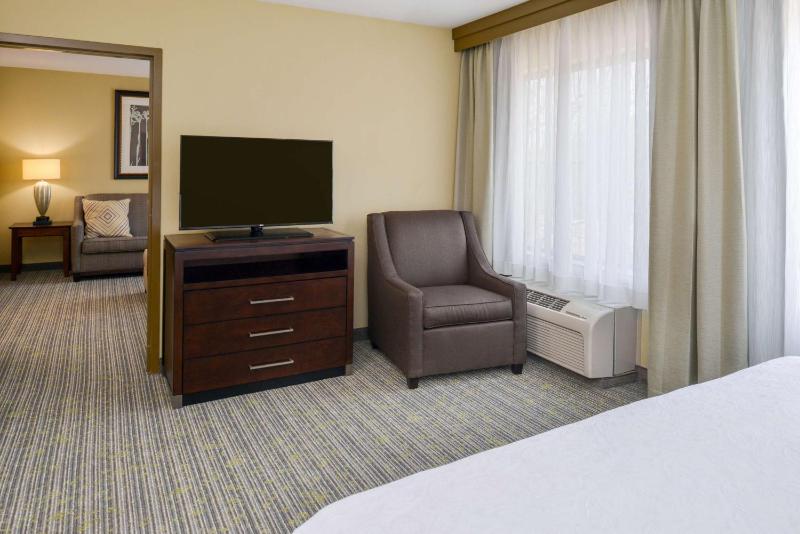 One-Bedroom King Suite - Non-Smoking image 4