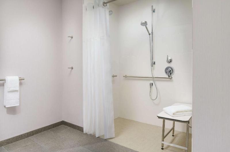 King Room with Roll-In Shower - Mobility Access image 2