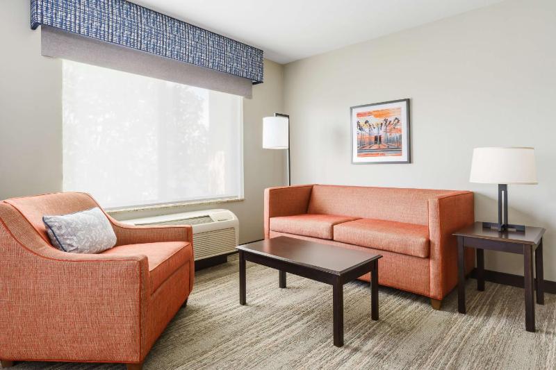 King Studio Suite - Non-Smoking image 4