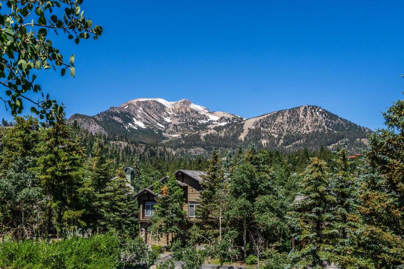 Updated 2 Bedroom Plus Loft 3 Bathroom Snowcreek Phase V #860 Sleeps 6 - image 16