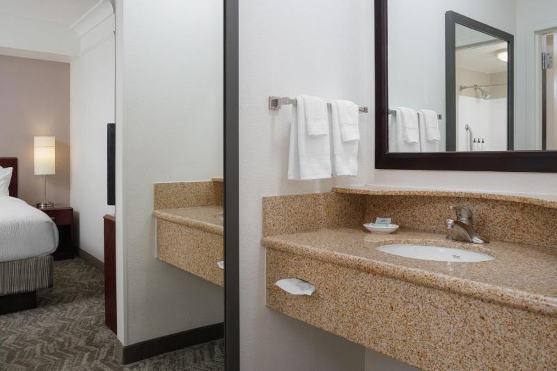 King Suite with Sofa Bed - Hearing Accessible image 3