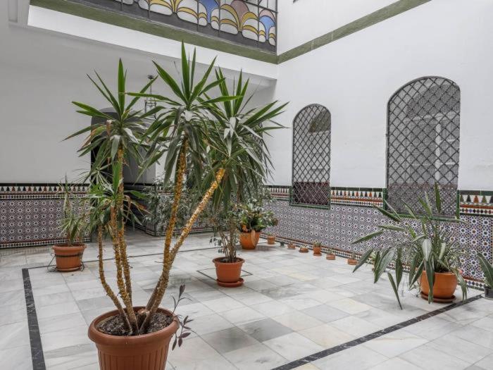 Fantástico APT junto Museo Bellas Artes CENTRO - image 5