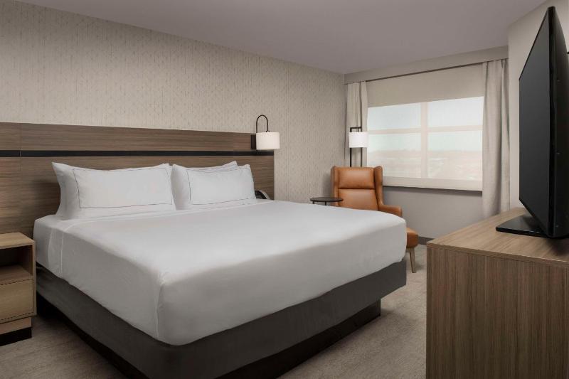 King Suite image 4