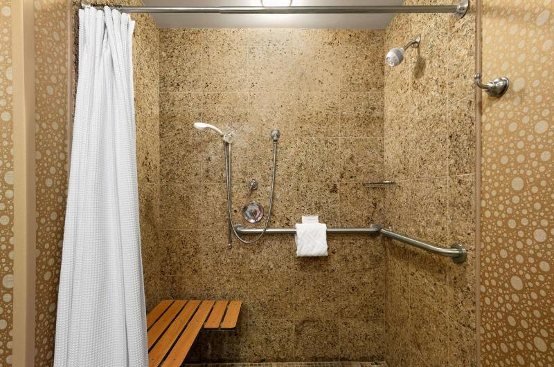 King Room with Roll-In Shower - Mobility Access image 2
