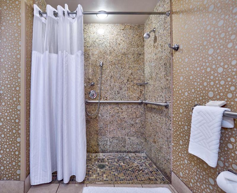 King Room with Roll-In Shower - Mobility Access image 3