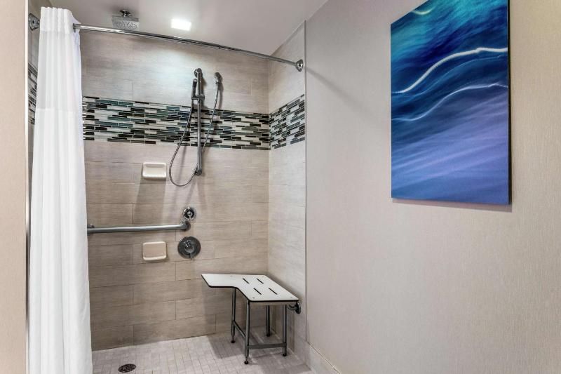 King Studio with Roll-In Shower - Mobility and Hearing Access/Non-Smoking image 2
