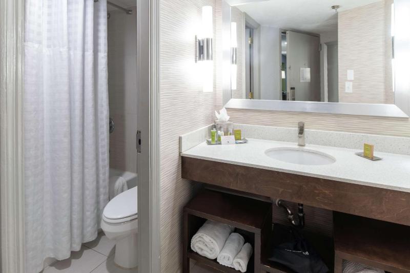 King Studio Suite image 3