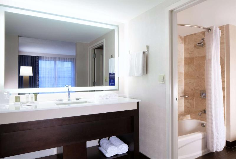 One-Bedroom King Suite image 2