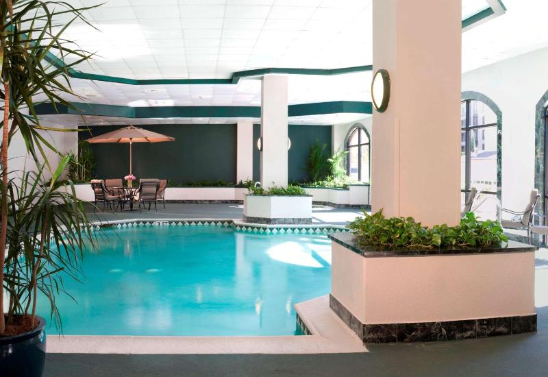 Embassy Suites by Hilton Houston Near the Galleria - image 24