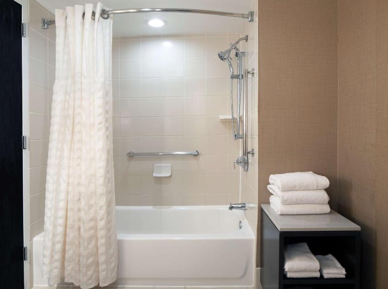 Embassy Suites by Hilton Houston Near the Galleria - image 29