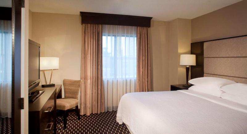 Embassy Suites by Hilton Houston Near the Galleria - image 27