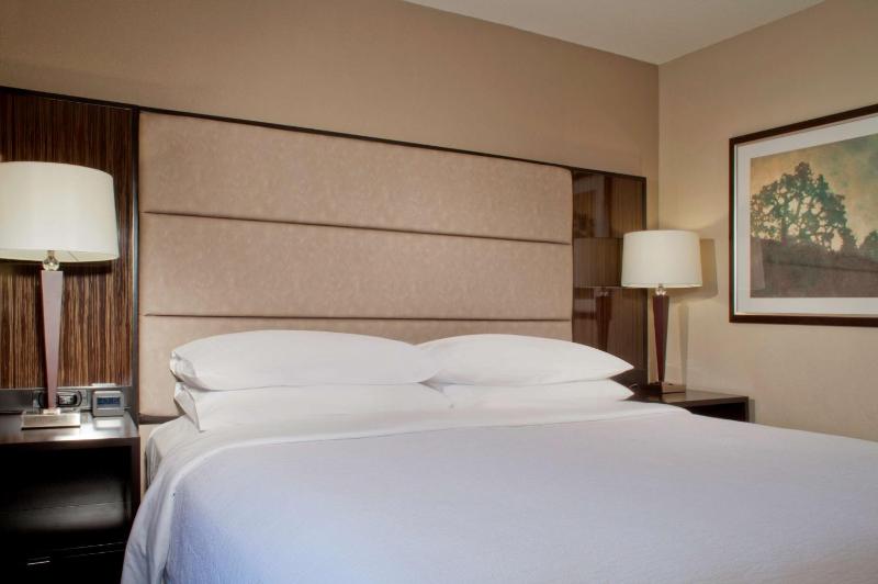 Embassy Suites by Hilton Houston Near the Galleria - image 28
