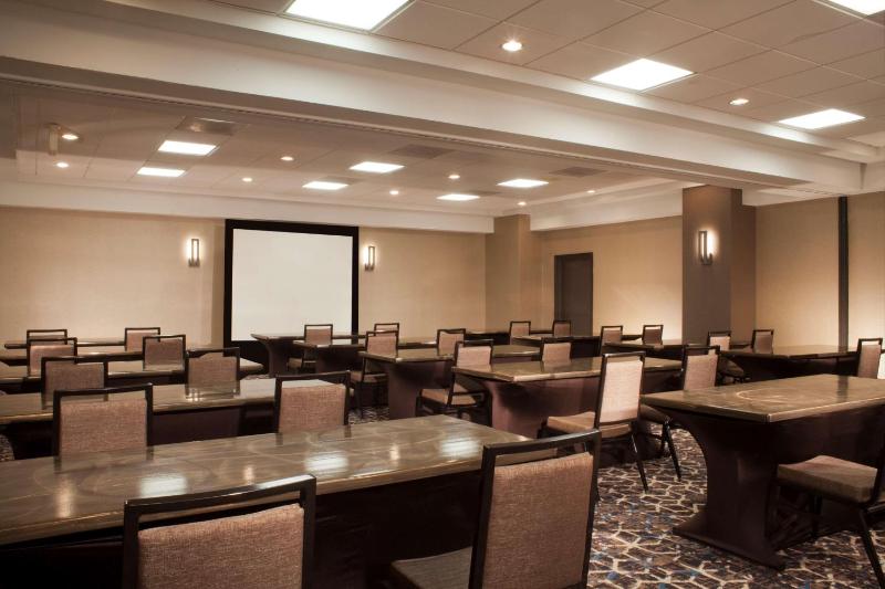 Embassy Suites by Hilton Houston Near the Galleria - image 30