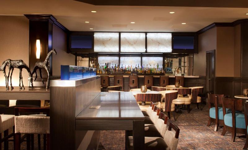 Embassy Suites by Hilton Houston Near the Galleria - image 11