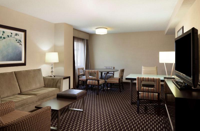 Embassy Suites by Hilton Houston Near the Galleria - image 5